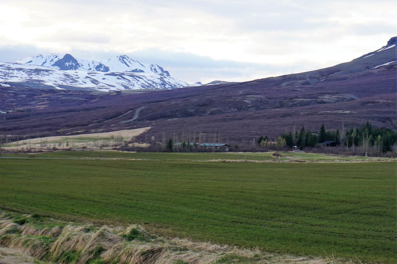 Middalskot Cottages Laugarvatn Εξωτερικό φωτογραφία
